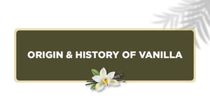 Origin & History of Vanilla