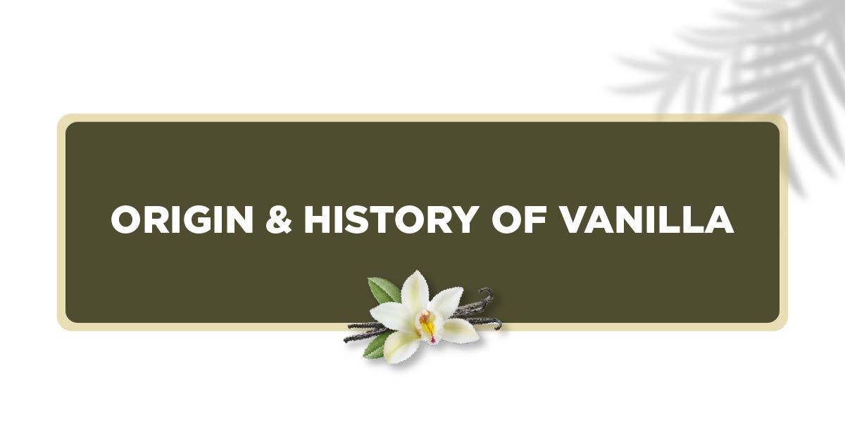 Origin & History of Vanilla
