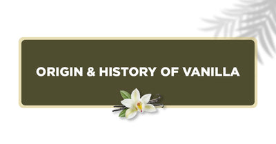 Origin & History of Vanilla