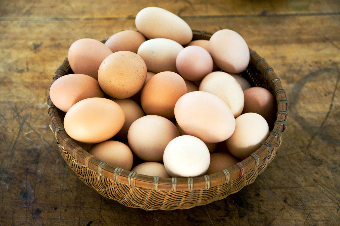 tempering eggs 