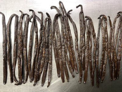 DO THE MARKINGS ON YOUR VANILLA BEANS LOOK STRANGE?