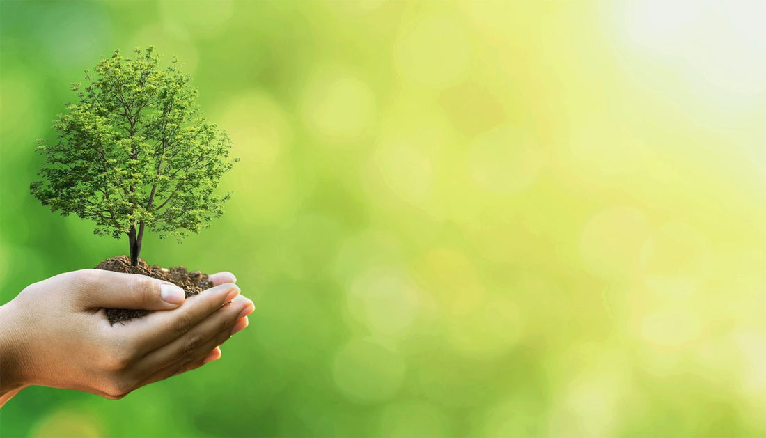 Earth Conservation
