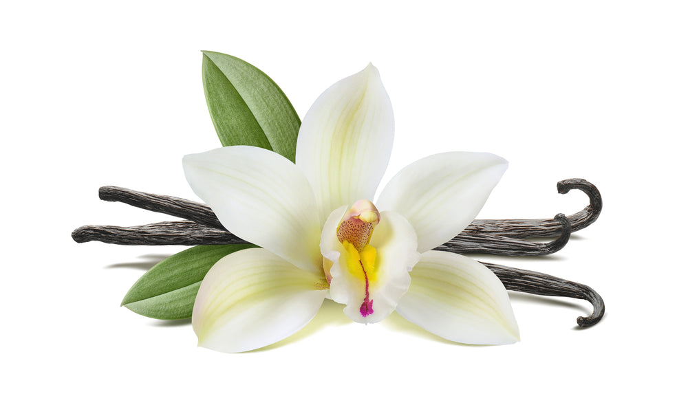 Is Vanilla extract and Vanilla essence the same?
