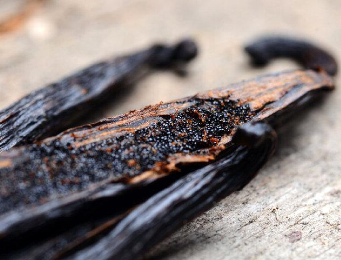 vanilla blog to know all about vanilla beans, extracts and much more
